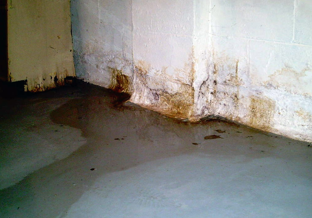 Tips for Keeping Your Basement Dry and Prevent Leaking
