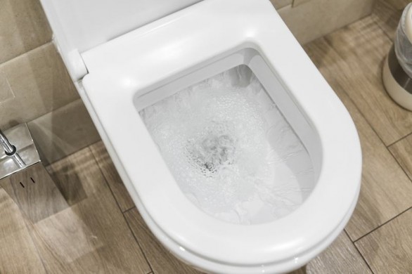 How to Replace a Toilet Seat?