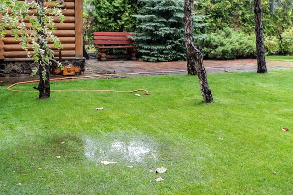 How to Repair a Water Line Leak in Your Yard