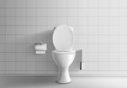 The Best Toilet Paper of 2023