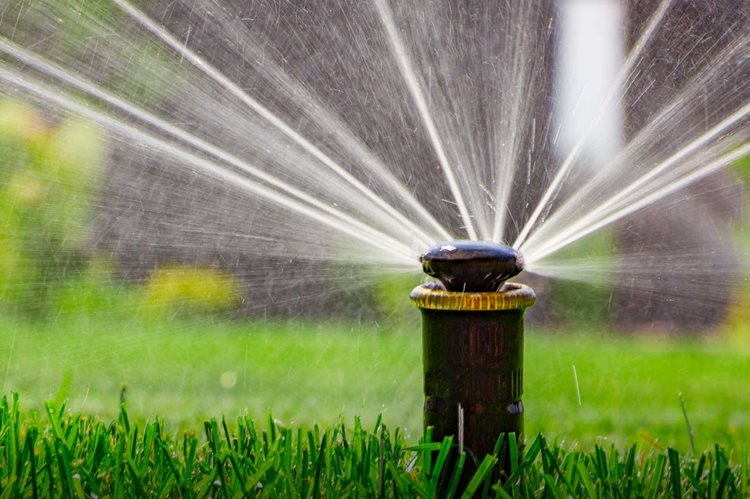 Tips for Getting the Most Out of Your Sprinklers During a Drought